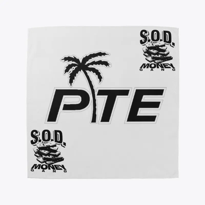 PTE SODMG BANDANA